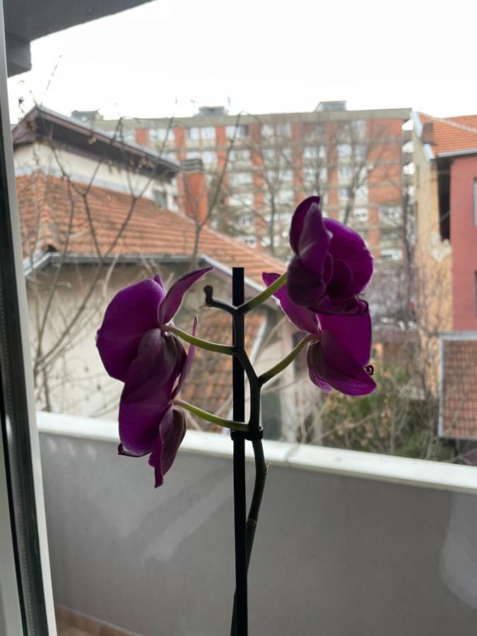 Apartman Afrodita Lux 1 Ni Exteriér fotografie